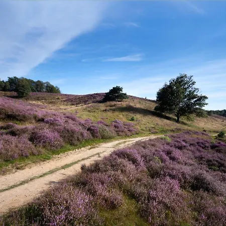Tatil parkı Landal Marina Well (Limburg)