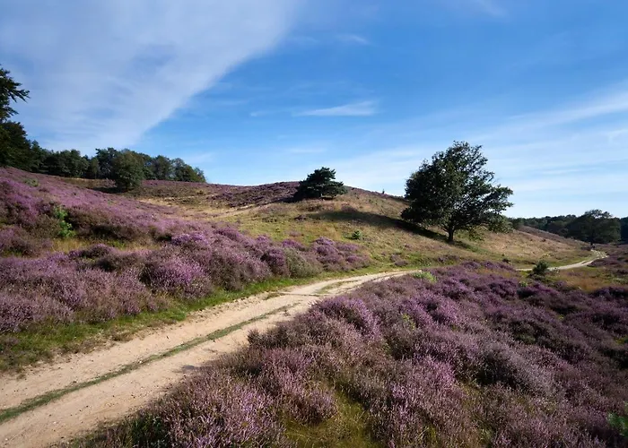 Vakantiepark Landal Marina Well (Limburg)
